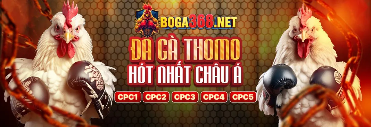 Hình ảnh giới thiệu chính sách quyền riêng tư của hcm66 link mới